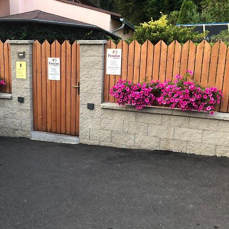 Penzion Radosov Ubytovani V Soukromi Kyselka  Exteriör bild